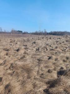 Участок земли в Демене