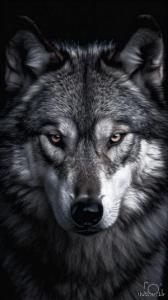 Если в жизни всё идёт по разрушительному сценарию — это не случай